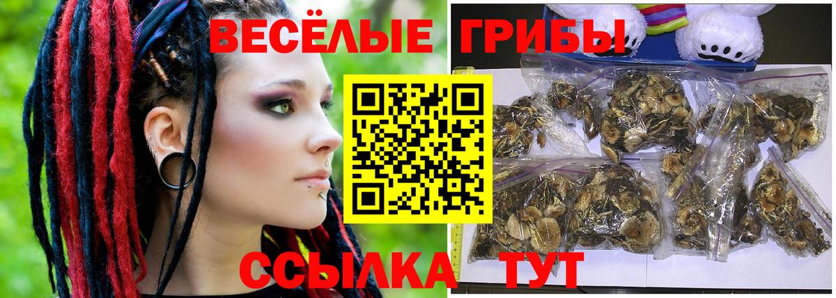 Псилоцибиновые грибы Cubensis Реутов