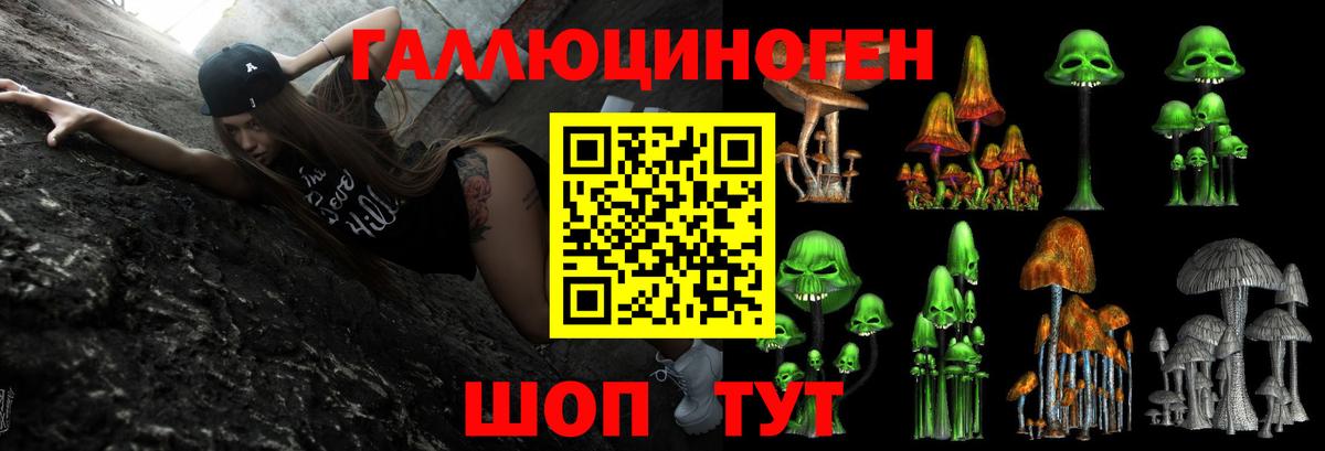 Псилоцибиновые грибы Psilocybe  Вход с VPN  Реутов 